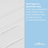 ISNTREE Hyaluronic Acid Low PH Cleansing Foam (150ml) - Kiyoko Beauty