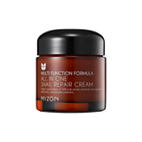 MIZON All in One Snail Repair Cream (75g) - Kiyoko Beauty