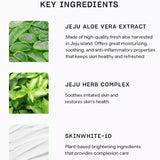 The SAEM Jeju Fresh Aloe Cleansing Foam (150g) - Kiyoko Beauty