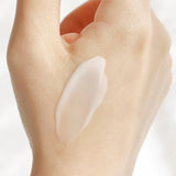 Beauty of Joseon Dynasty Cream (50ml) - Kiyoko Beauty