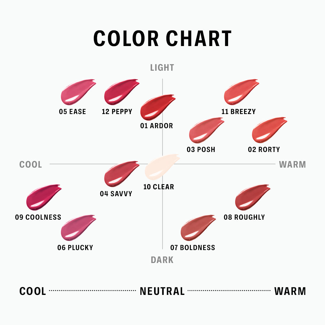 BRAYE Lipsleek (2.3g)