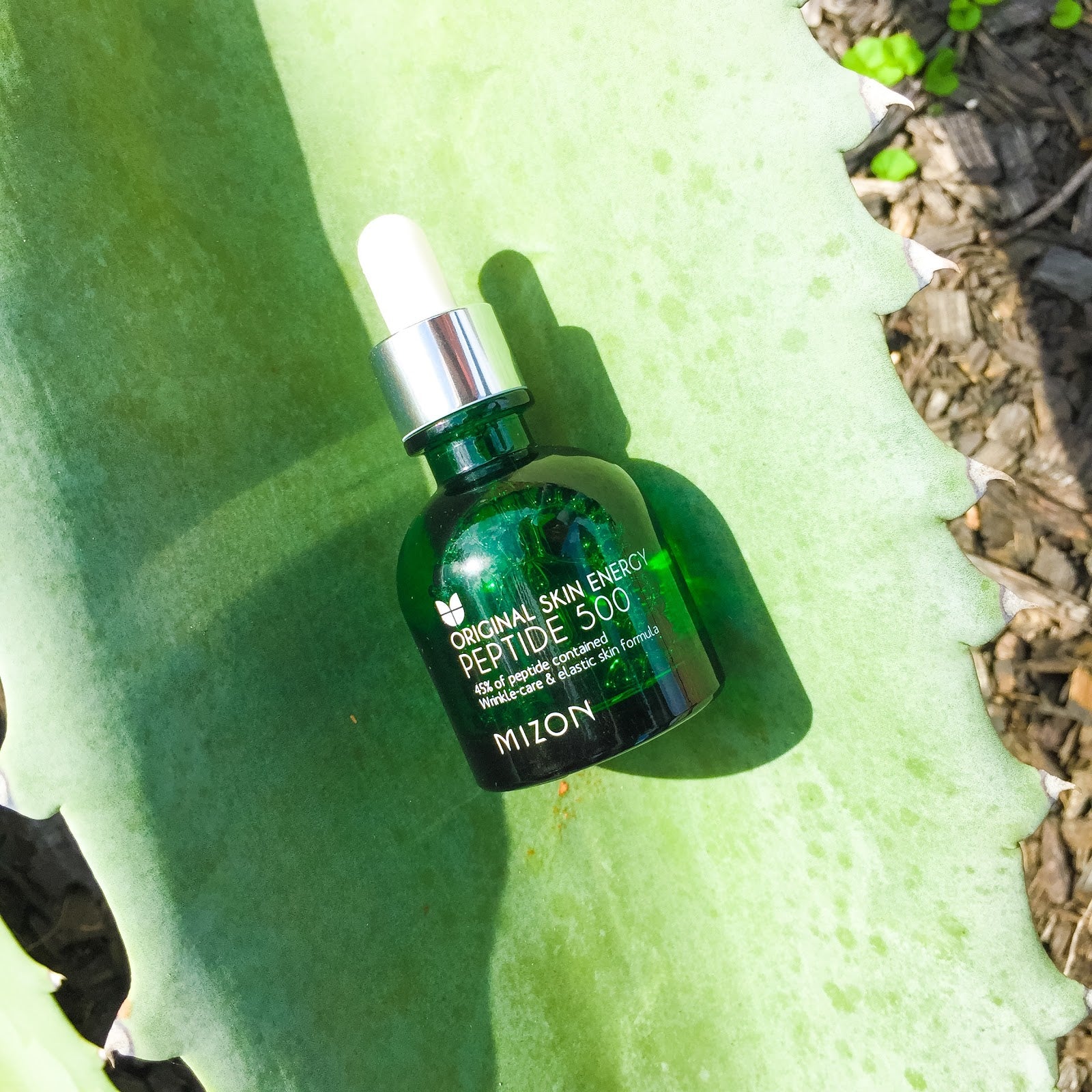 MIZON Peptide 500 (30ml) | Kiyoko Beauty