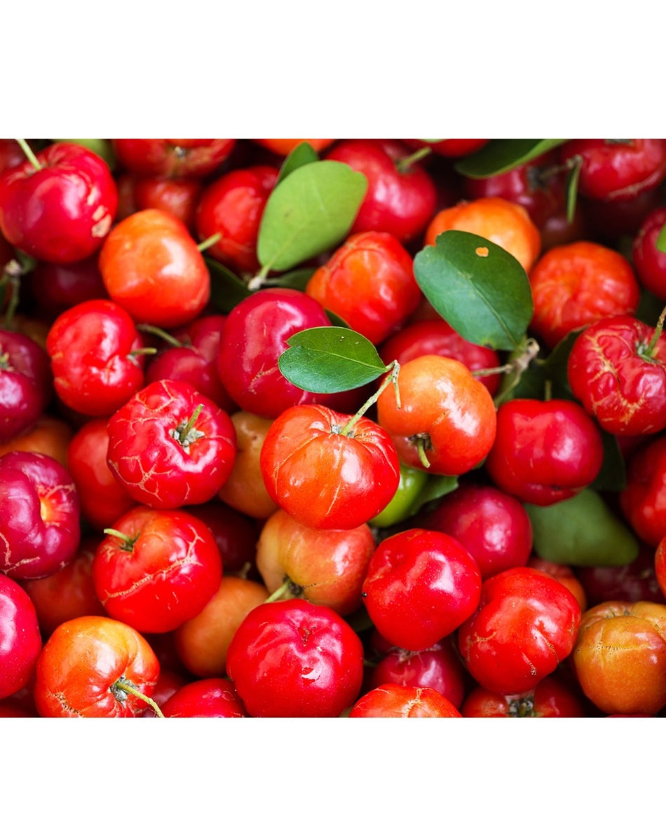 Lululun Okinawa Acerola Face Mask (7 PCs)